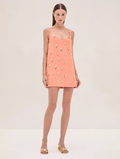 Larsen Dress